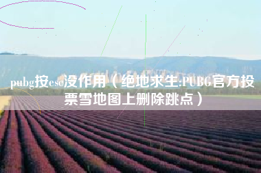 pubg按esc没作用（绝地求生:PUBG官方投票雪地图上删除跳点）
