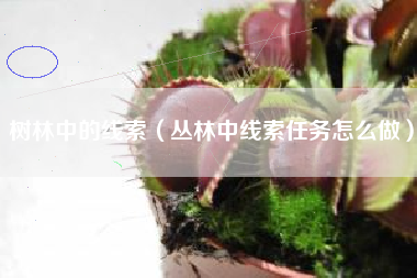 树林中的线索（丛林中线索任务怎么做）