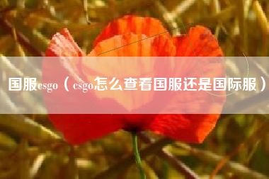 国服csgo（csgo怎么查看国服还是国际服）