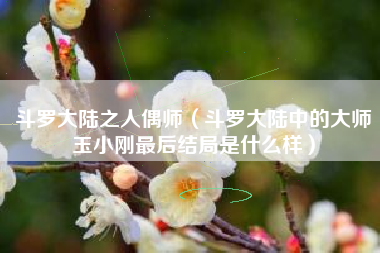 斗罗大陆之人偶师（斗罗大陆中的大师玉小刚最后结局是什么样）