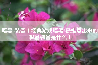 暗黑2装备（经典游戏暗黑2最难爆出来的极品装备是什么）