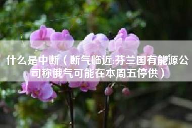 什么是中断（断气临近:芬兰国有能源公司称俄气可能在本周五停供）