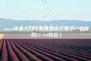 steam申诉入口（他发现自己多了一仓库的CS: GO饰品）