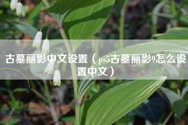 古墓丽影中文设置（ps5古墓丽影9怎么设置中文）