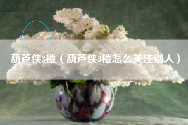 葫芦侠3楼（葫芦侠3楼怎么关注别人）