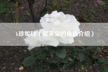 b珍妮特（鼠来宝的角色介绍）