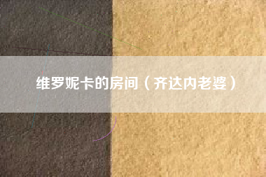 维罗妮卡的房间（齐达内老婆）