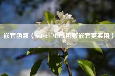 嵌套函数（Index+Match函数嵌套更实用）