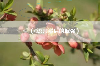 %d（C语言最后的倔强）