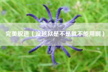 完美脱逃（没越狱是不是就不能用啊）