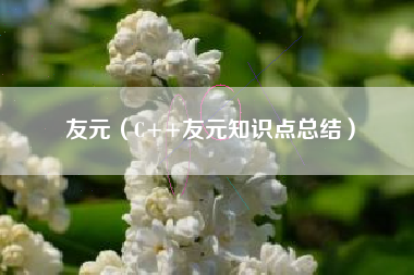 友元（C++友元知识点总结）