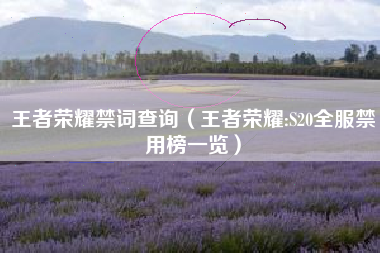 王者荣耀禁词查询（王者荣耀:S20全服禁用榜一览）