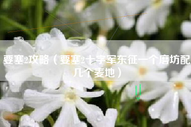 要塞2攻略（要塞2十字军东征一个磨坊配几个麦地）