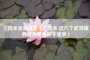 三国杀坐骑图鉴（三国杀:这六个武将随机组合都是对手噩梦）