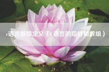c语言数组定义（C语言的指针和数组）