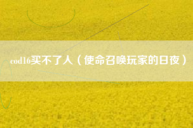 cod16买不了人（使命召唤玩家的日夜）