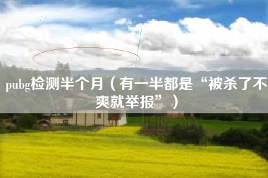 pubg检测半个月（有一半都是“被杀了不爽就举报”）