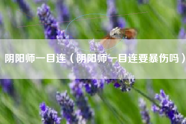 阴阳师一目连（阴阳师一目连要暴伤吗）