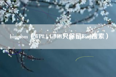 bingcom（WP8.1 GDR1只保留Bing搜索）