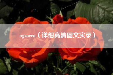 ngzorro（详细高清图文实录）