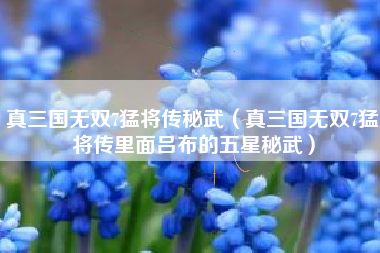 真三国无双7猛将传秘武（真三国无双7猛将传里面吕布的五星秘武）