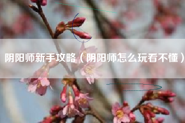 阴阳师新手攻略（阴阳师怎么玩看不懂）