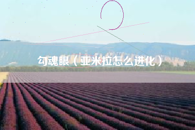 勾魂眼（亚米拉怎么进化）