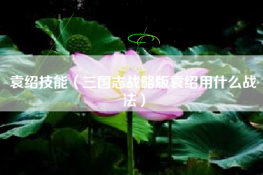 袁绍技能（三国志战略版袁绍用什么战法）