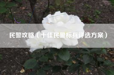 民警攻略（十佳民警标兵评选方案）