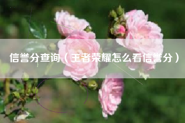 信誉分查询（王者荣耀怎么看信誉分）
