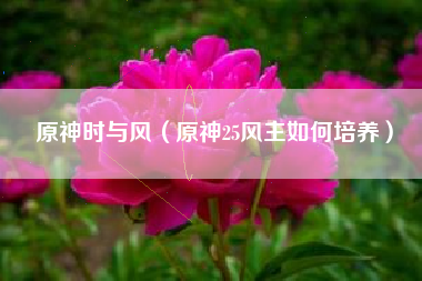 原神时与风（原神25风主如何培养）