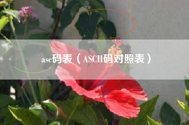 asc码表（ASCII码对照表）