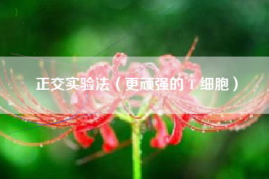 正交实验法（更顽强的 T 细胞）