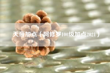 天帝加点（阿修罗100级加点2021）