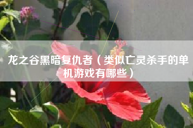 龙之谷黑暗复仇者（类似亡灵杀手的单机游戏有哪些）