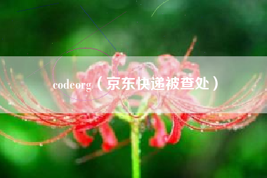 codeorg（京东快递被查处）