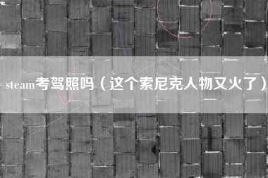 steam考驾照吗（这个索尼克人物又火了）