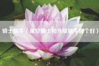 骑士蜗牛（星空骑士和外星蜗牛哪个好）