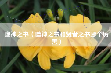 噬神之书（噬神之书和贤者之书哪个厉害）