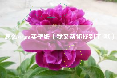 怎么steam买壁纸（我又帮你找到了4款）
