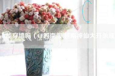 cf能穿墙吗（CF越南服:越南神仙大开杀戒）