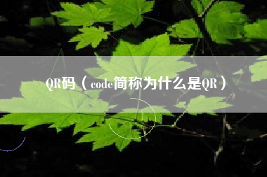 QR码（code简称为什么是QR）