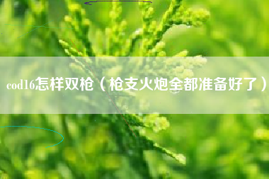 cod16怎样双枪（枪支火炮全都准备好了）