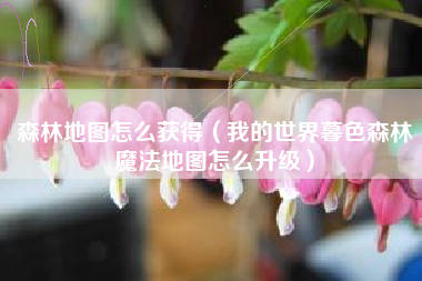 森林地图怎么获得（我的世界暮色森林魔法地图怎么升级）