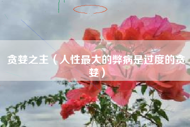 贪婪之主（人性最大的弊病是过度的贪婪）