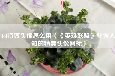 lol特效头像怎么用（《英雄联盟》鲜为人知的精美头像图标）