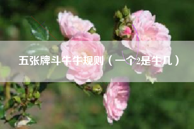 五张牌斗牛牛规则（一个2是牛几）