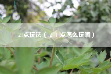 21点玩法（２１点怎么玩啊）