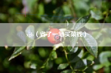xgb（省了一笔买菜钱）