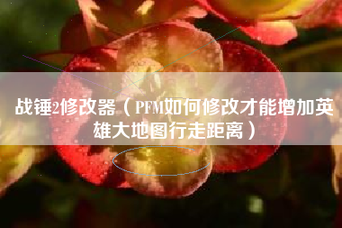 战锤2修改器（PFM如何修改才能增加英雄大地图行走距离）